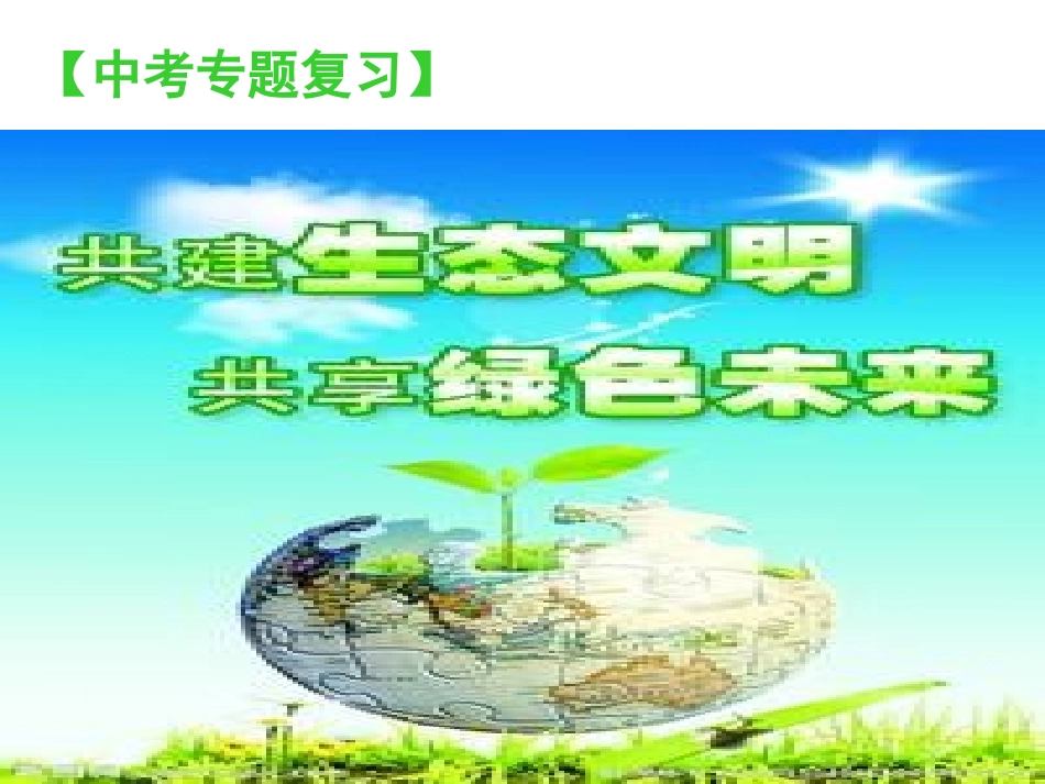 共建生态文明，共享绿色未来_第3页