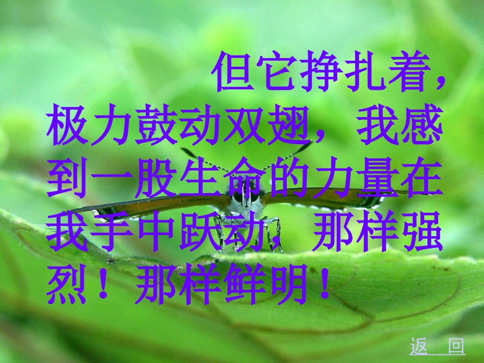 生命生命(1)_第2页