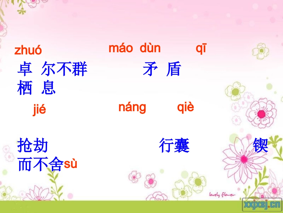 阅读大地的徐霞客(改好)_第3页