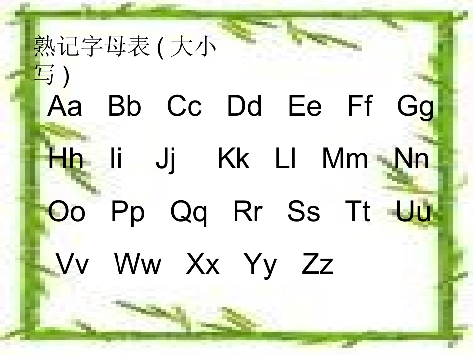 汉语拼音复习_第3页