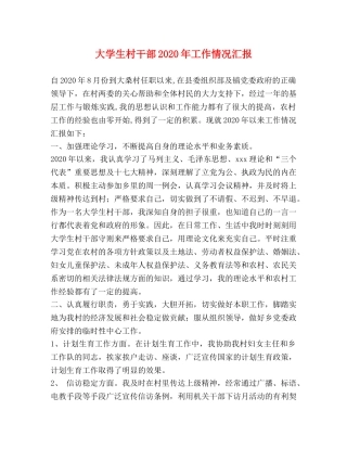 大学生村干部2020年工作情况汇报 
