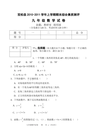 双柏县2010-2011学年上学期期末综合素质测评九年级数学试卷