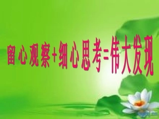 《抽屉原理》PPT课件(1)