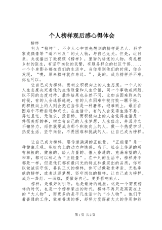 个人榜样观后心得体会心得
