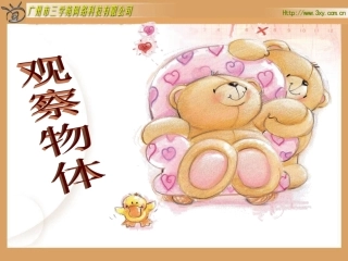 北师大一年级数学下册观察物体课件