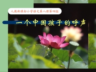四年级语文课件一个中国孩子的呼声