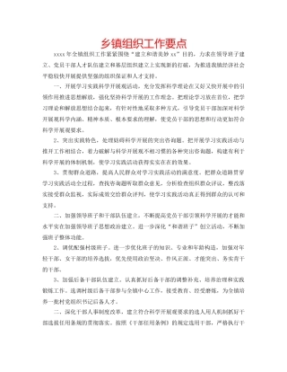 乡镇组织工作要点 