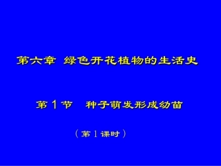 种子萌发形成幼苗课件