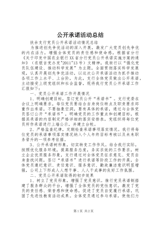 公开承诺活动总结 