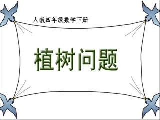 《植树问题》