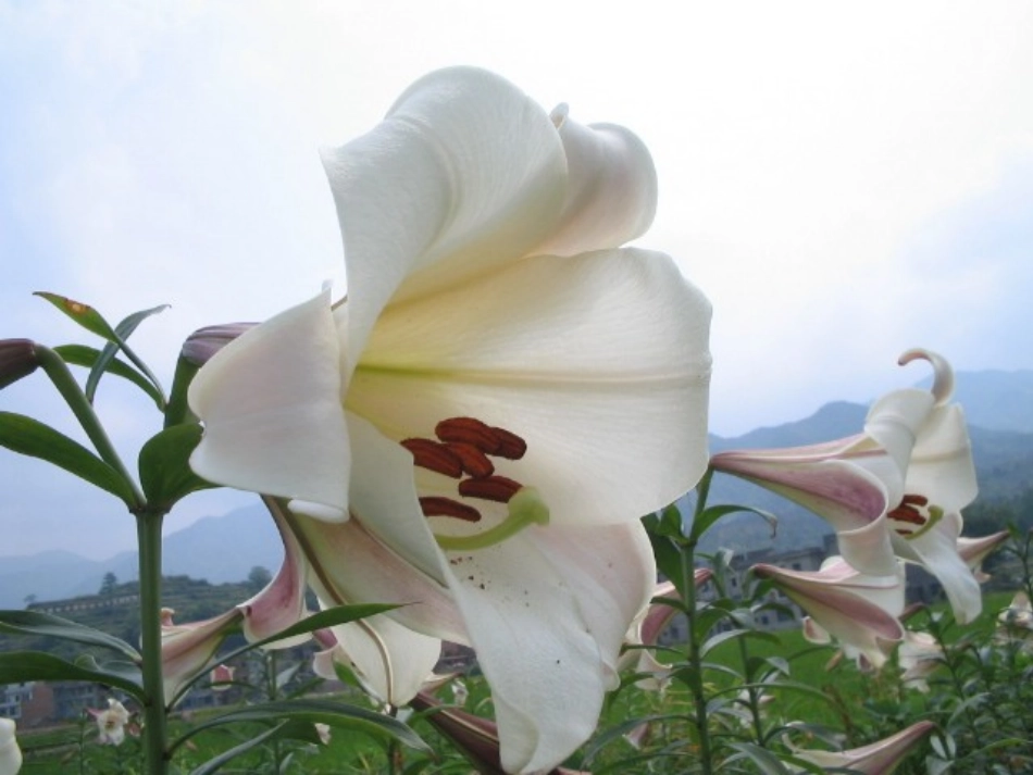 参赛课件2平均数_第2页