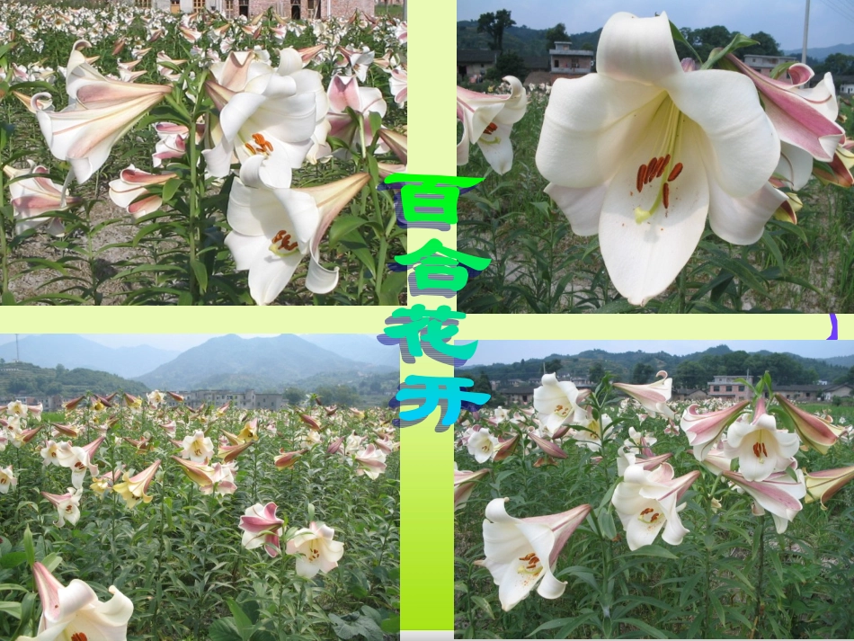 参赛课件2平均数_第3页