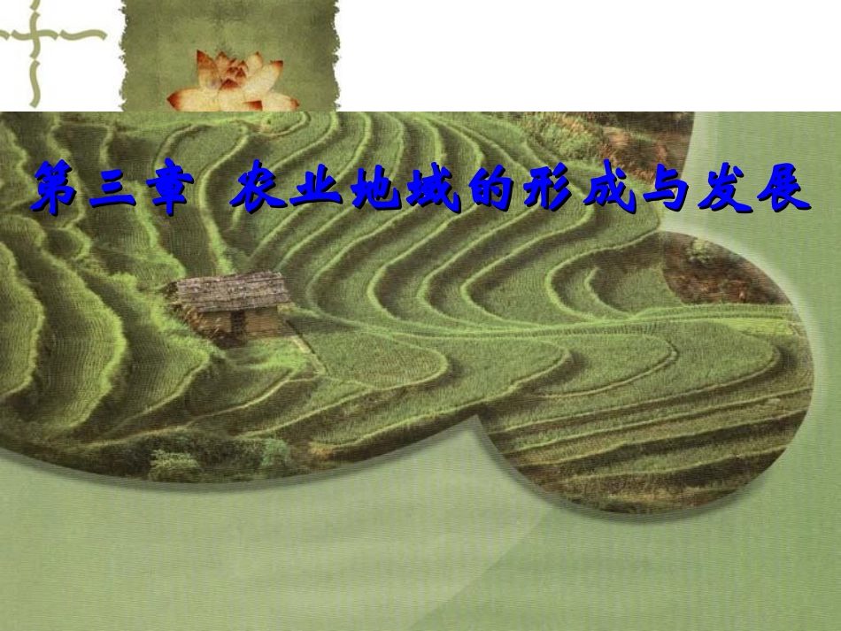 农业区位选择第一课时_第2页