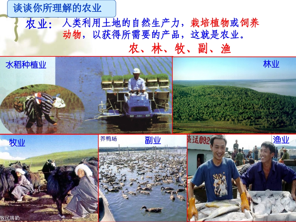 农业区位选择第一课时_第3页