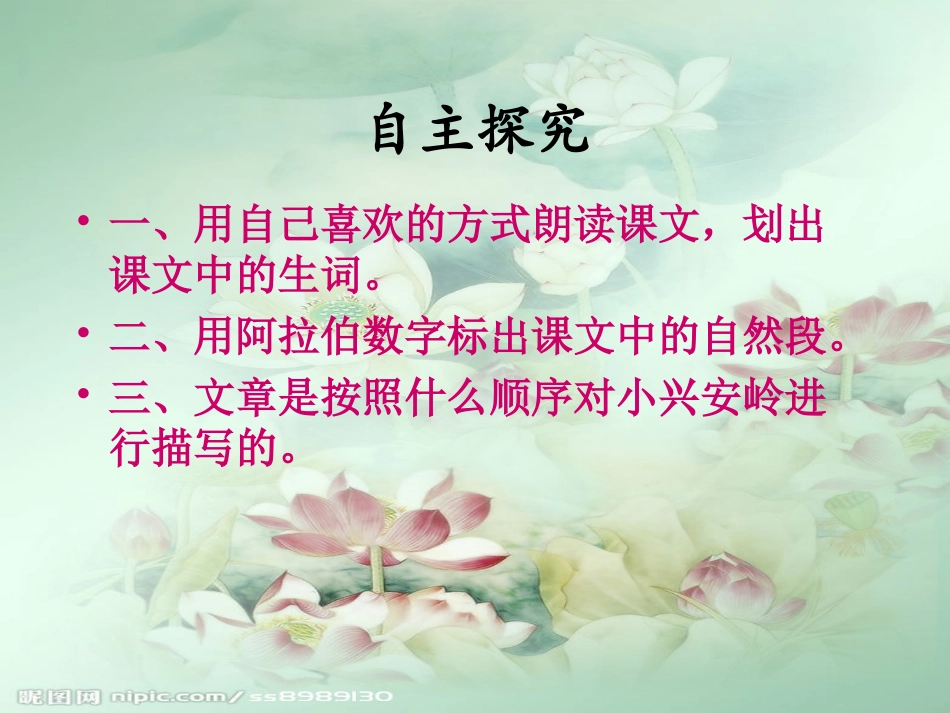 人教版小学语文三年级上册《美丽的小兴安岭》PPT课件_第2页