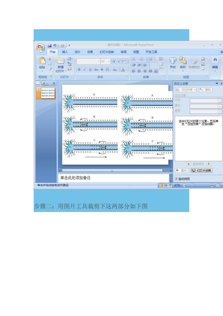 生物课件制作小技巧_第2页