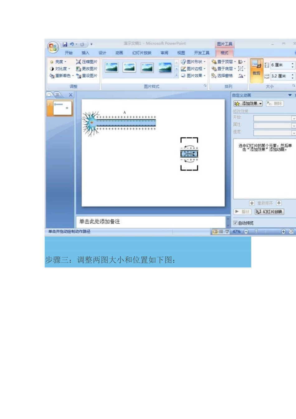 生物课件制作小技巧_第3页