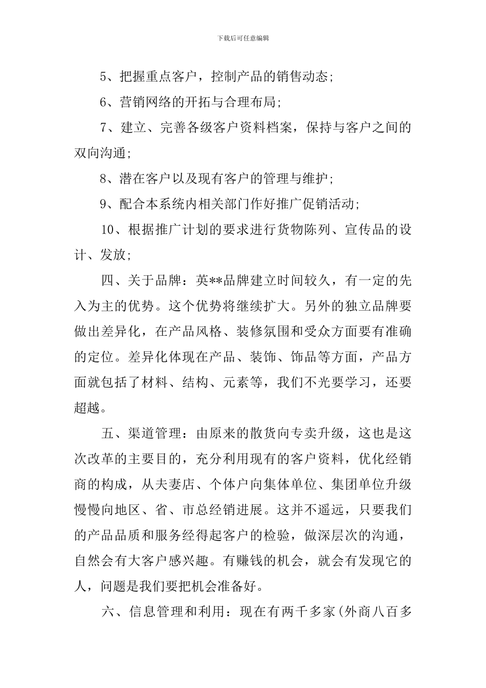 销售总监的工作计划_第2页