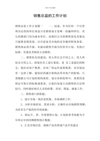 销售总监的工作计划