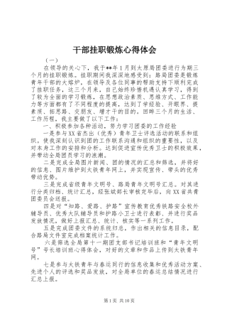 干部挂职锻炼体会心得