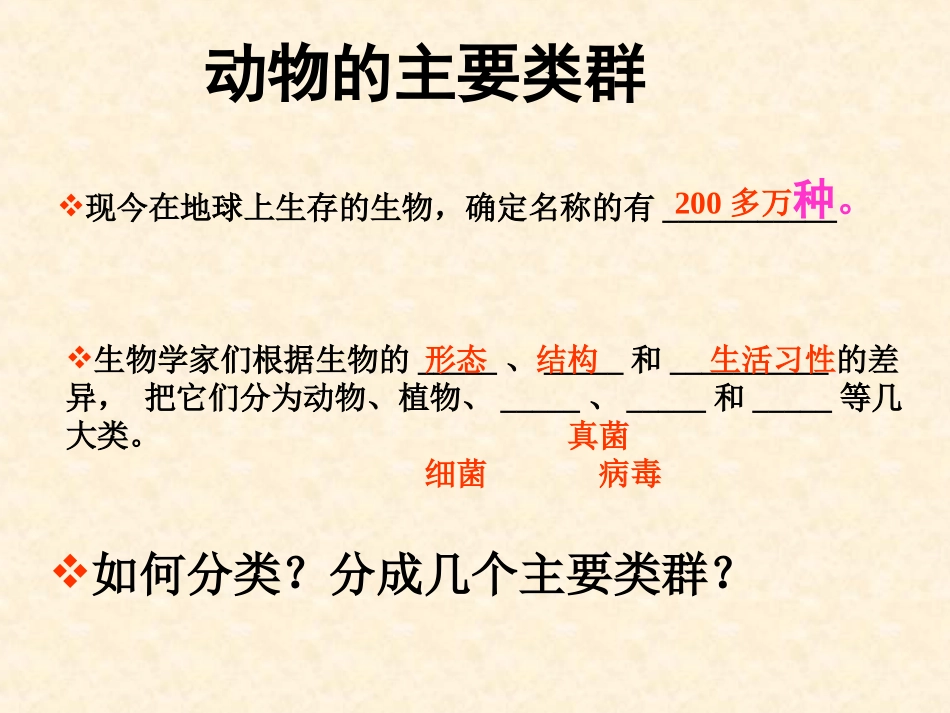 动物的主要类群_第2页