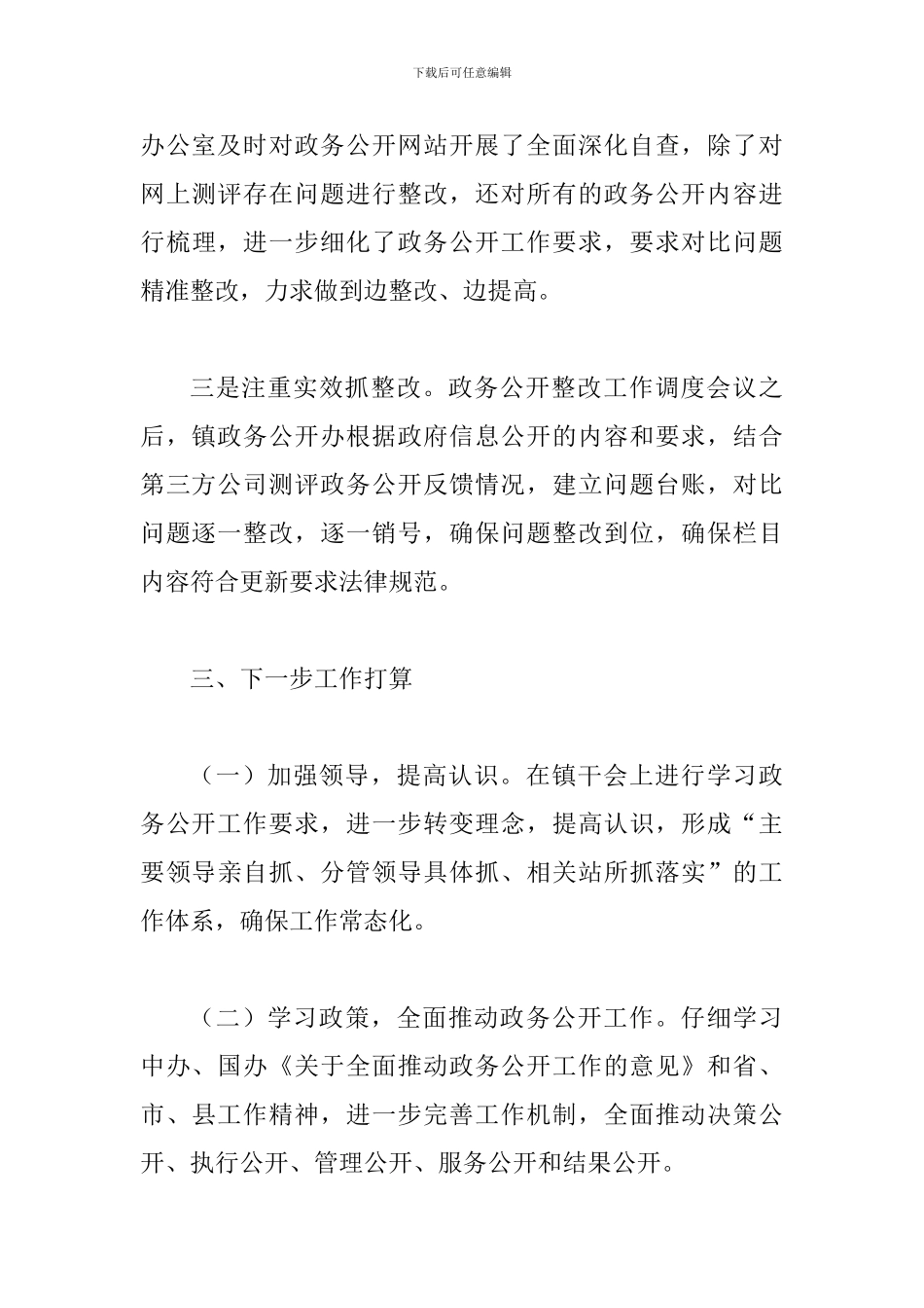 2024年某政务公开工作整改落实情况报告_第3页