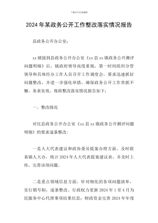 2024年某政务公开工作整改落实情况报告