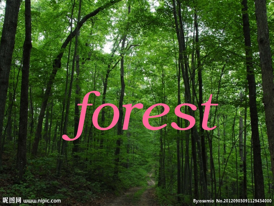 新版PEP人教小学英语五年级上册Unit6_In_a_Nature_Park_PPT课件_第2页