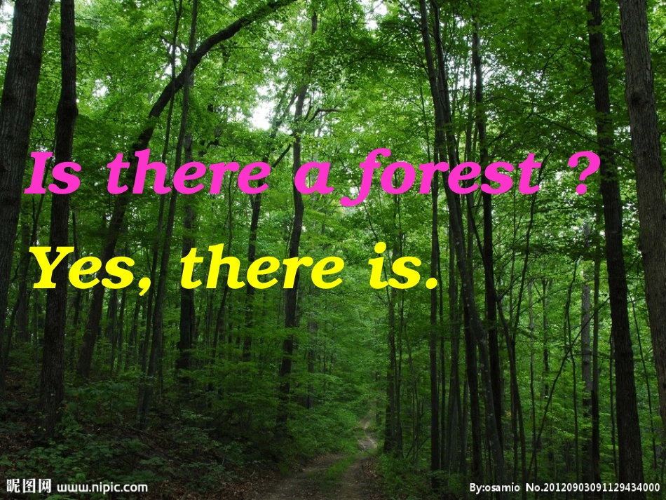 新版PEP人教小学英语五年级上册Unit6_In_a_Nature_Park_PPT课件_第3页