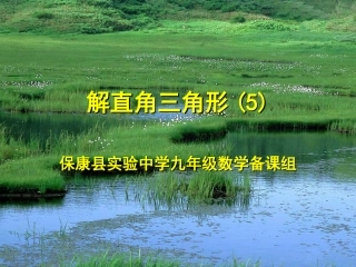解直角三角形(5)