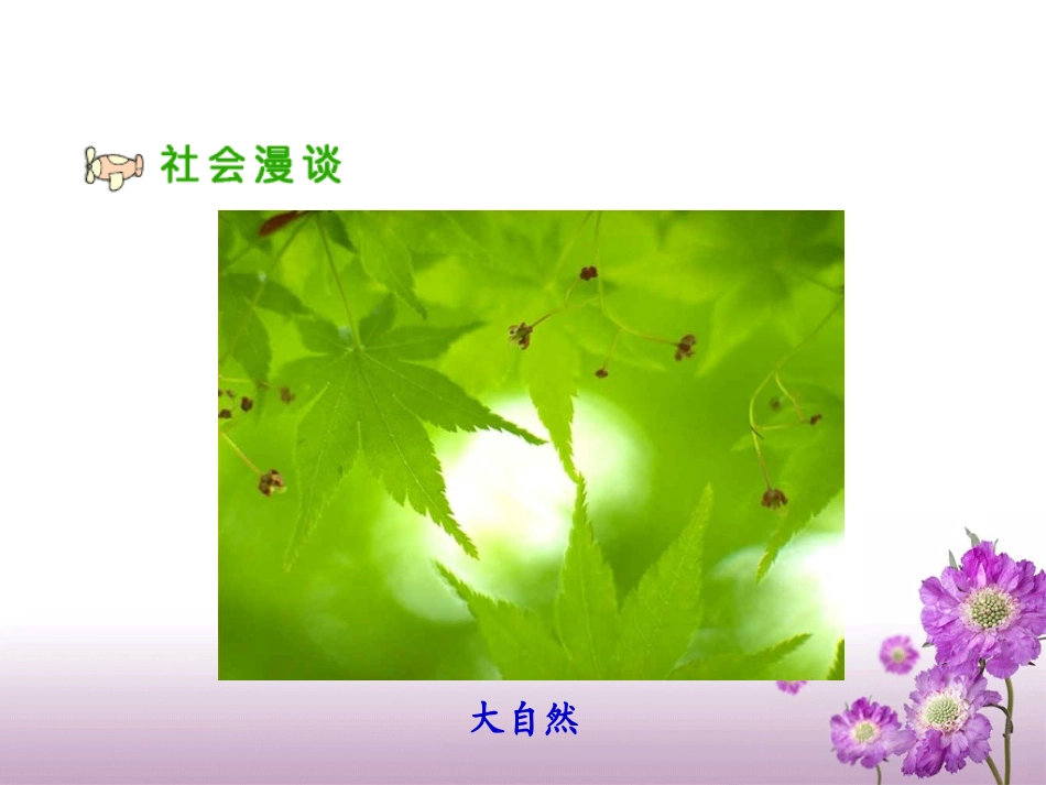 《我们能为地球做什么》教学课件_第3页