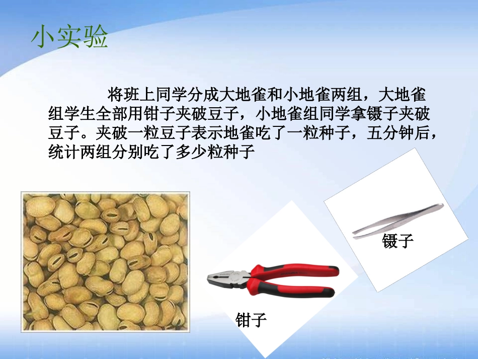 谁能生存下来(鄂教版)六年级科学下册PPT课件_第3页