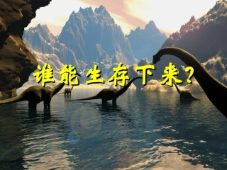 谁能生存下来(鄂教版)六年级科学下册PPT课件