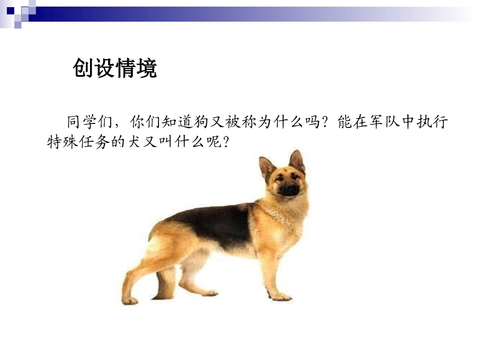 《军犬黑子》PPT课件_第2页