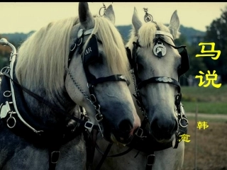 马说2 (2)