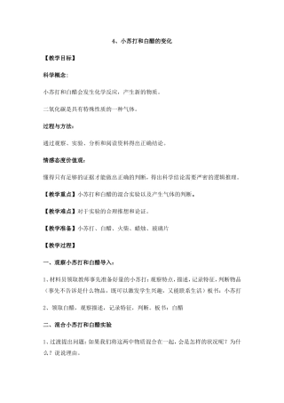 小苏打和白醋的变化 (2)