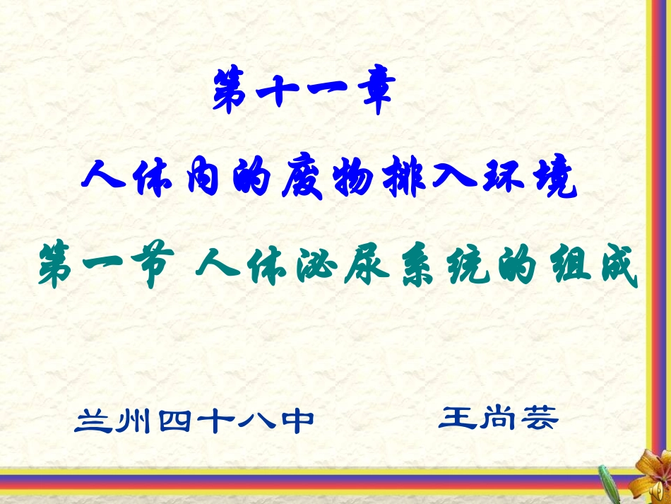 人体泌尿系统的组成_第1页