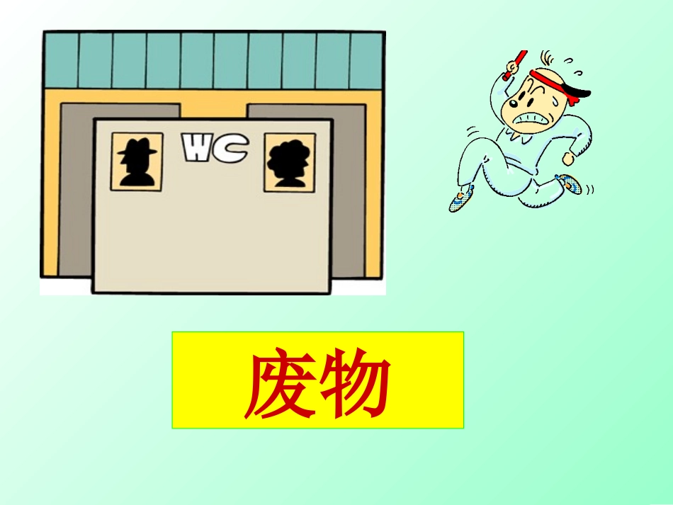 人体泌尿系统的组成_第2页