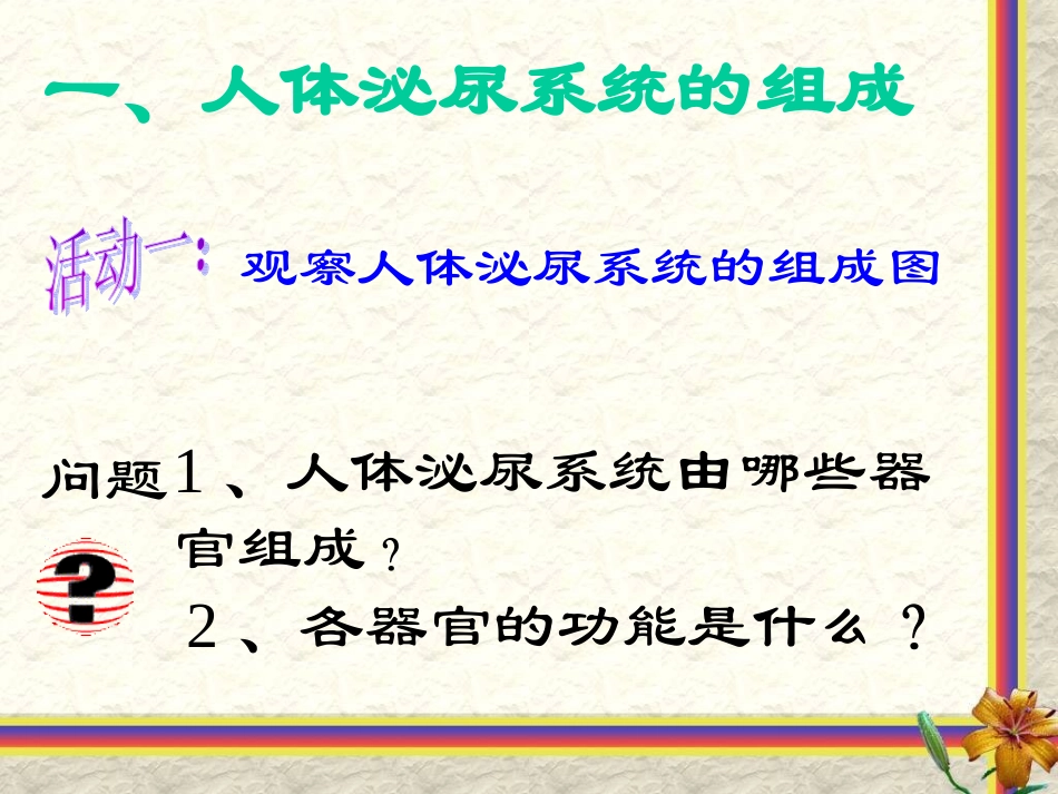 人体泌尿系统的组成_第3页