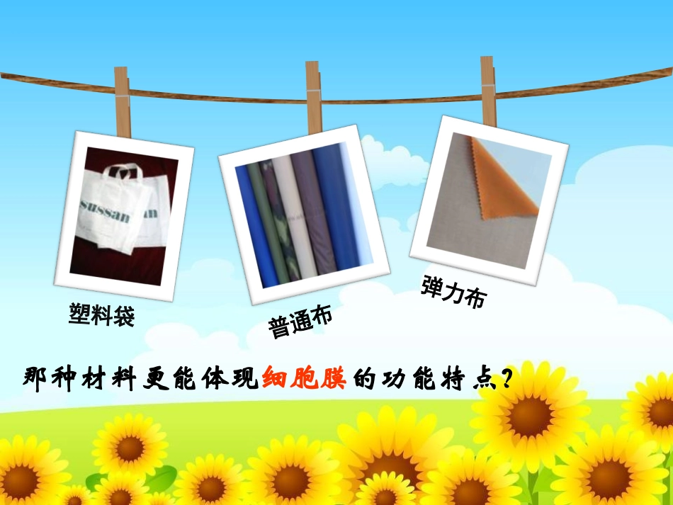 人教版必修1第4章第2节生物膜的流动镶嵌模型（共29张PPT）_第2页