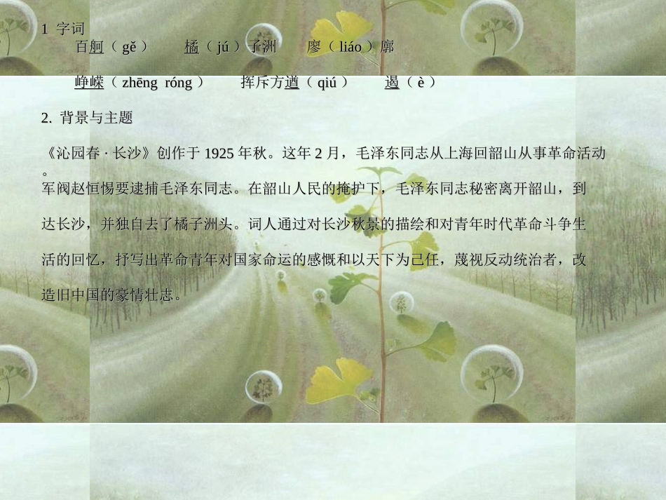 沁园春·长沙(8)_第2页