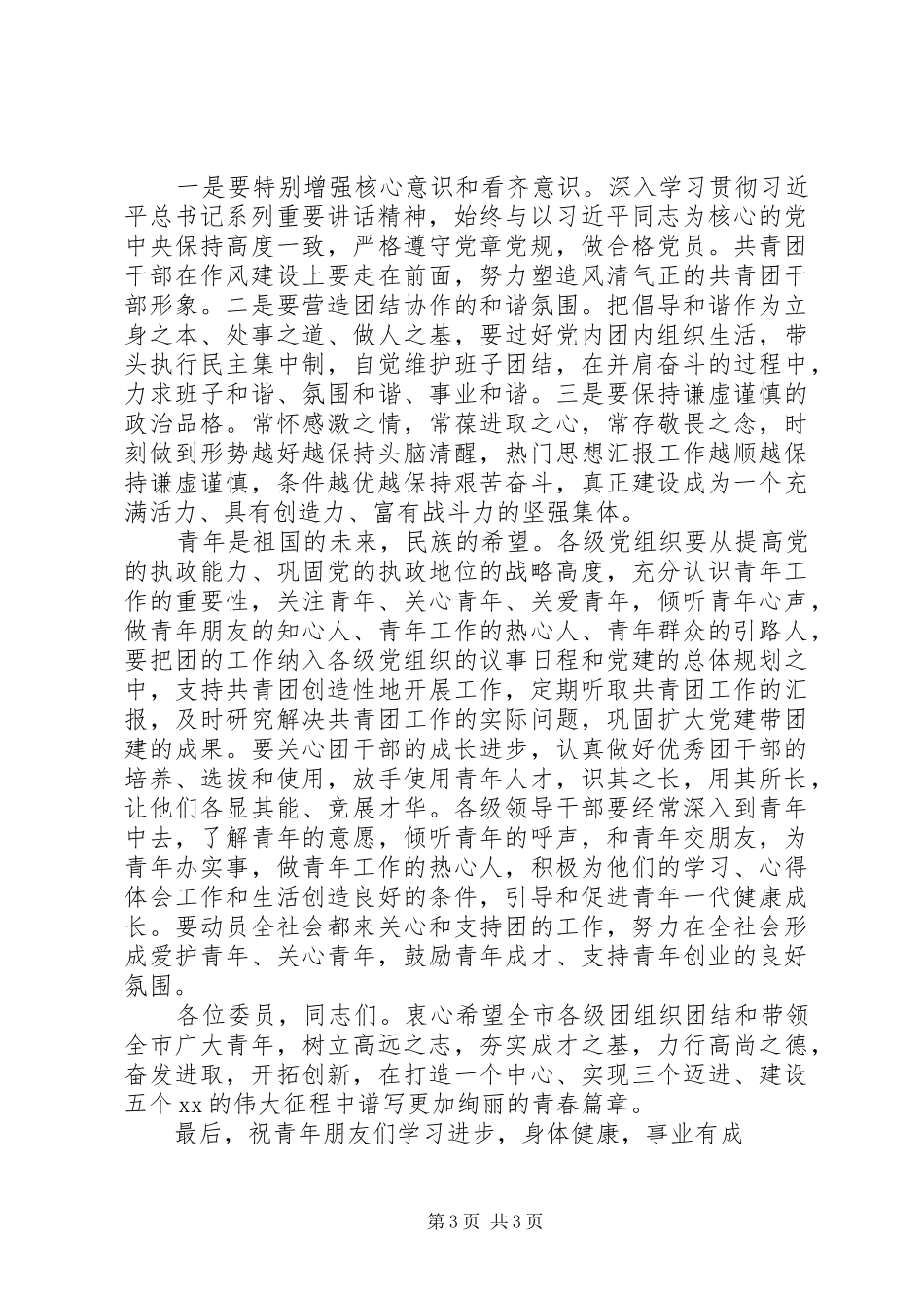 团市委XX年全体（扩大）会讲话发言稿_第3页