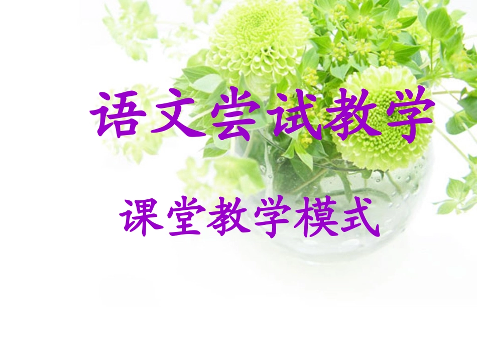 尝试教学讲座课件_第1页