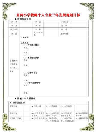 东湾小学教师成长档案