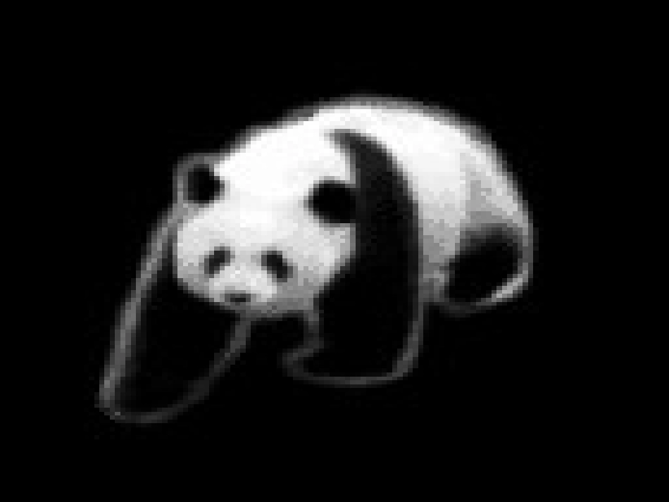 《可爱的大熊猫》_第3页