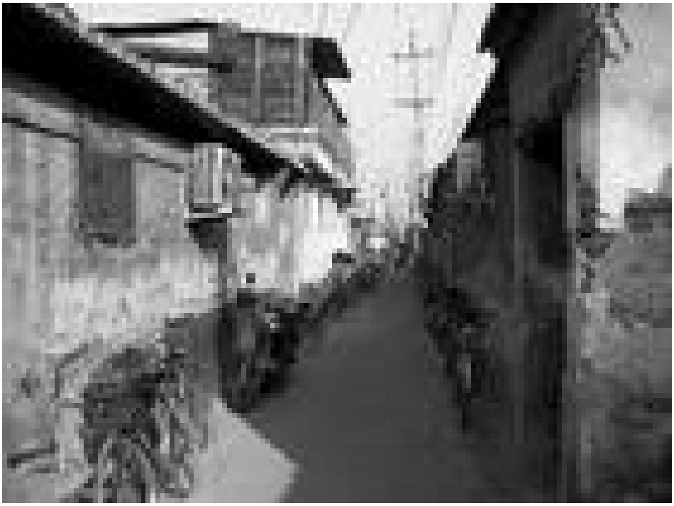 冬阳童年骆驼队xin_第3页