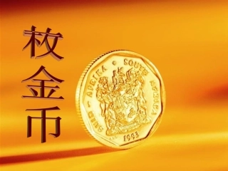 一枚金币PPT课件[1]1