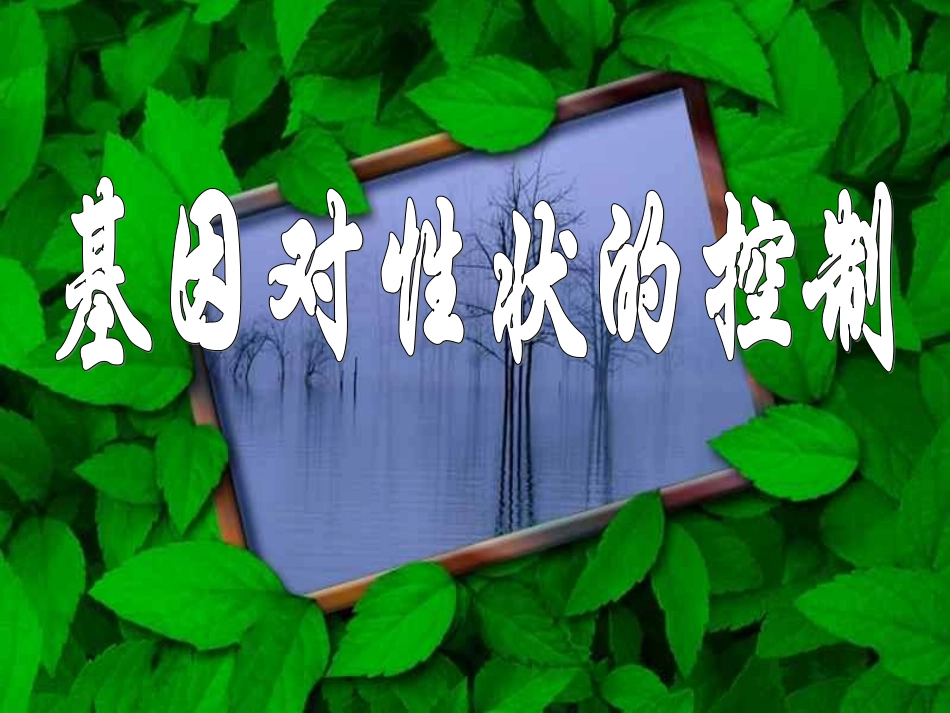 人教版必修二第四章第2节基因对性状的控制（共29张PPT）_第1页