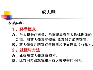 教科版小学科学六年级下册第一单元《放大镜》课件