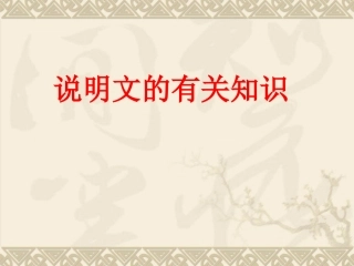 动物游戏之谜